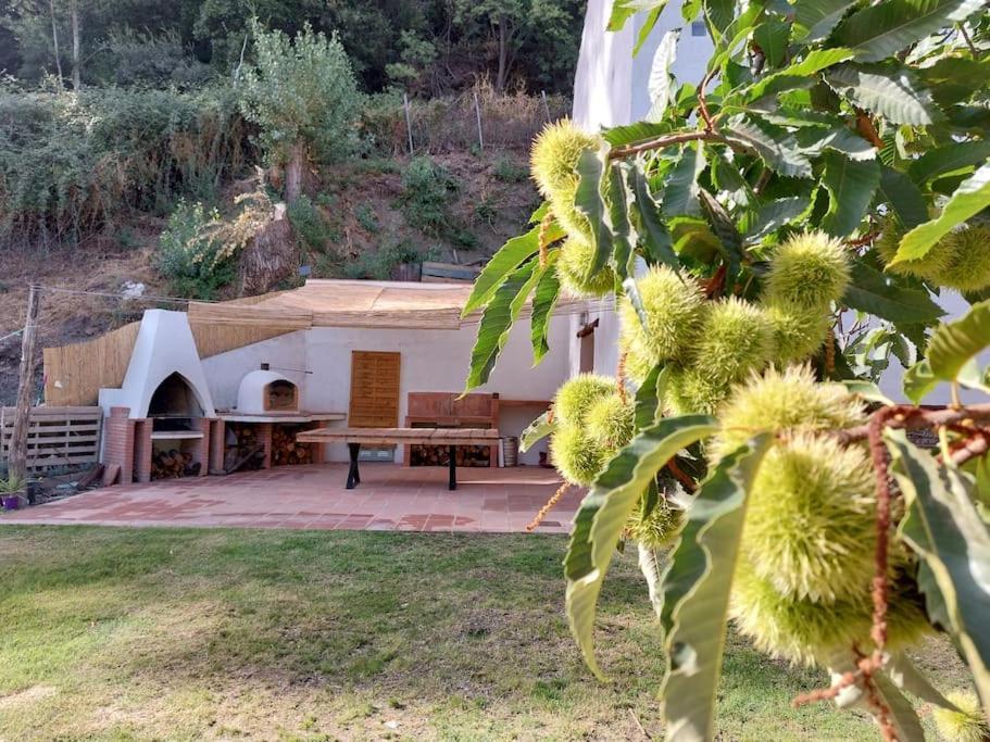 Casa Barranco Villa Juzcar Bagian luar foto